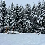 Letniskowy Biedowka