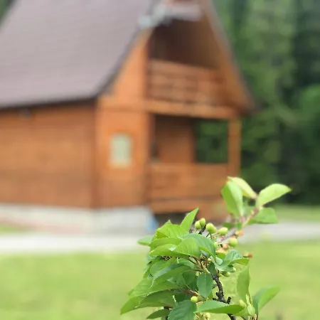 Letniskowy Biedowka Apartment Limanowa