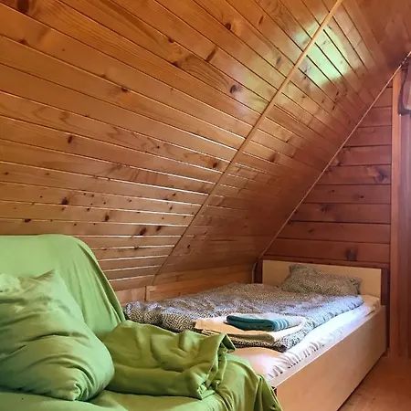 Letniskowy Biedowka 公寓