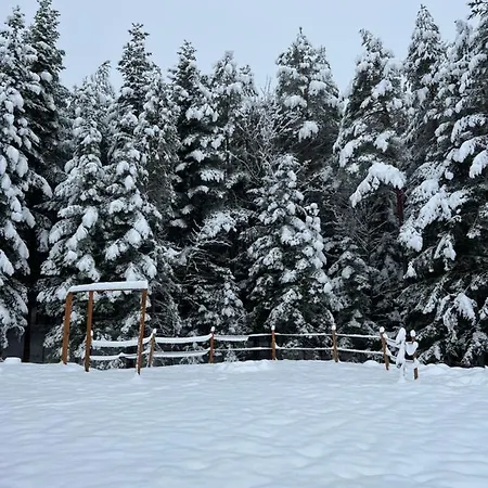 Letniskowy Biedowka