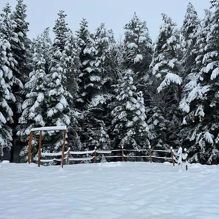 Letniskowy Biedowka