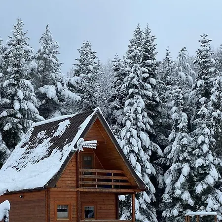 Letniskowy Biedowka 公寓 *