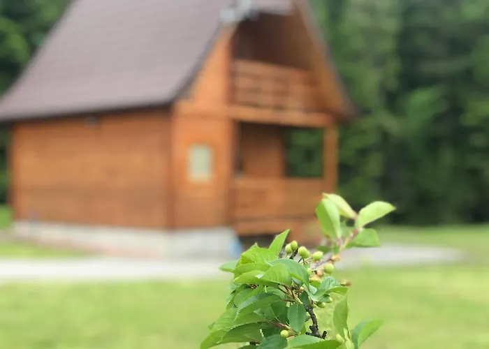 Letniskowy Biedowka דירה לימנובה